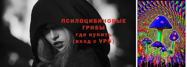 индика Алексеевка