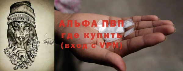 индика Алексеевка