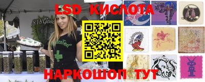 Альфа ПВП Тулун
