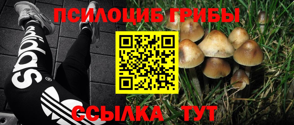 Уфа  Псилоцибиновые грибы мухоморы  Вход с VPN 